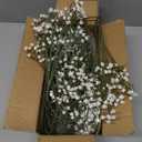 Artificial Flowers,12 pcs Silk Baby's Breath, Artificial White Plastic Flower for Home Decoration, Long Stem Fake Flowers for Wedding Decoration, DIY Bridal Flower(Milk White)