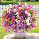 trytuny Artificial Flowers for Outdoor, UV Resistant Realistic Fake Flowers and Faux Plants for Indoor Outdoor, Garden Patio Porch Window Box Decor All Year (20pcs - Mixed Color)