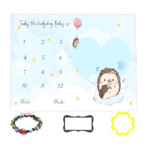 Baby Monthly Milestone Blanket, Hedgehog Theme Photography Background, 60x40 Inch, White, Pink
