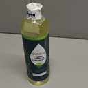 Puracy Professional Carpet Cleaner Machine Detergent, 4x Concentrated Upholstery Cleaner, Natural Carpet Shampoo, Pet Stain Remover & Deodorizer, Makes 20 Gallons of Cleaning Solution, 25 Ounce