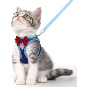 Cat Vest Harness and Leash Set for Walking, Escape Proof, Adjustable Kitten Harness, Breathable Mesh with Reflective Strips, Detective Conan-Inspired Design, Blue, Medium