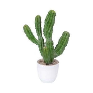 15 in. Green Indoor Artificial Cactus