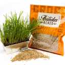 Thunder Acres Organic Winter Rye Seeds, Non-GMO (3 lb) (EXP 06/08/28)