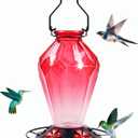 Glass Hummingbird Feeder for Outdoors Hanging, 25Oz Humming Bird Nectar Feeder, Perch, 5 Flower Feeding Ports, Leak Proof Base, Hook for Outside Garden Backyard, Gift for Women Mom, Diamond Red