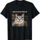 Rage is Consuming Me Silly Staring Cat Meme T-Shirt, S