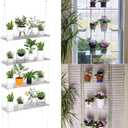 Jolitac Acrylic Window Plant Shelves, Hanging Indoor Wall Plant Stand, 4-Tier (Clear)