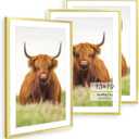 Golden State Art 13x19 Picture Frame Set of 3, Modern Gold Thin Border - Display 11x17 with Mat or 13x19, Wall Hanging Photo Frames