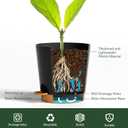 4 inch Small Plant Pots for Outdoor Indoor Plants, 5 Pack Planters with Drainage Holes and Tray, Small Self Watering Pots for Succulent,Cactus, Aloe and Other Plants (Black)