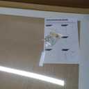 DOLLAR BOSS 24" x 18" Rustic White Cork Board