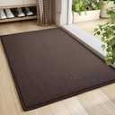 Color&Geometry Front Door Mat Indoor Entrance, 19.5"x35.5" Standard-Sized Inside Doormat for Entryway Non Slip, Dirt Trapper Absorbent Entry Rug Washable, Brown (Rolled-up NO Creases)