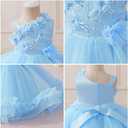 Baby Flower Girl One Shoulder Formal Wedding Dress 6M 9M 1st 2nd 3rd 4th 5t Birthday Cake Smash Outfits Floral Embroidery Toddler Tea Party Pageant Prom Bridesmaid Ball Gown Sky Blue 9-12 Months