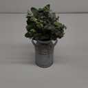 Winlyn Artificial Eucalyptus Stems in Rustic Metal Milk Can Vase Faux Plants Eucalyptus Leaves Stems with White Seeds Greenery Arrangement 13.4" Tall for Farmhouse Home Wedding Table Centerpiece Dcor