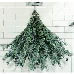 30 Pcs Dried Preserved Eucalyptus Stems Shower Bundle, 9oz 17" 100% Natural Fresh Eucalyptus Plant, Real Eucalyptus Leaves Branches for Shower Vase Filler, Dried Flowers Arrangement Home Decor