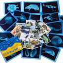 20 Pcs Animal Xrays and Picture Cards - Veterinary Toys & Educational Science Kit for Kids, Explore The Fascinating World of Animal Skeletons