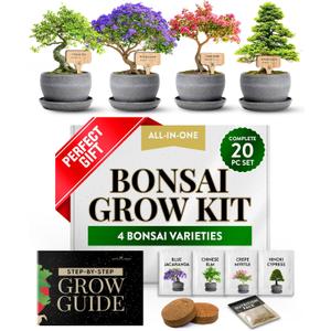 HOME GROWN Bonsai Tree Kit  Grow 4 Bonsai Types Indoors with Complete Starter Kit Including Pots Peat Pellets and Bonus Grow Guide  Unique Gardening Gift for Men Women Beginners