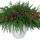 10 Pcs Christmas Norfolk Pine Stems with Red Berries,Real Touch Faux Cedar Norfolk Pine Branches,Fake Greenery Plants for Vase Table Centerpieces,DIY Crafts Picks Garland Wreath Home Christmas Decor