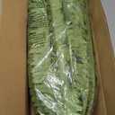 FOREST PRINCE 50" Artificial Boston Ferns, Fake Bush Plants, Large Faux Ferns with 96 Fronds for Outdoors Home Decor (50" 1 Pcs)