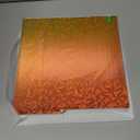 Kobra S1/Kobra X Build Plate 264x276mm Double Sided Chameleon PEO+Starry PEY Build Plate Flexible Removable Spring Steel Heated Printing Bed Platform for Anycubic Kobra S1/Kobra X/ACE Pro 3D Printer