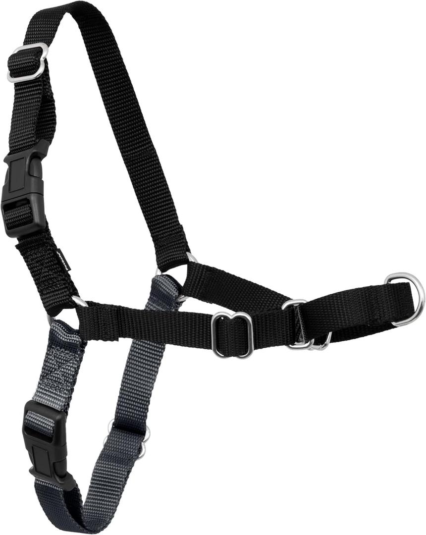 PetSafe Easy Walk Harness for Dogs - Pull-Free Walks - Patented Martingale Loop Design - Front Chest Leash Attachment - Comfort Straps - Breathable Harness Design - Small, Charcoal/Black