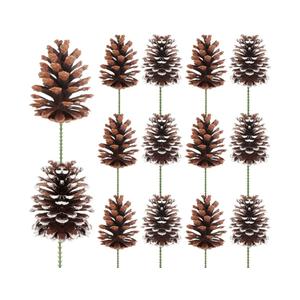 Fangoo 12Pcs 3.1-4.7in Large Natural Pine Cone Picks Snow Christmas Pine Cones with Stems for Crafts Holiday Wreath Garland Party Ornaments Flower Arrangement Fall Thanksgiving Decor (Natural White)
