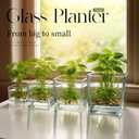 Set of 8 Square Glass Vases for Centerpieces  2.36in /3.15in/ 4in/5in Clear Short Flower Vase, Plant Terrariums, or Candle Holders for Wedding Centerpieces, Office Decor, Home Dcor, Parties