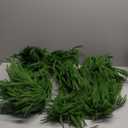 Senjie Christmas Garland Norfolk Pine Garland Real Touch Artificial Greenery Garland for Mantle Fireplace Table Indoor Outdoor Holiday Decortions 6FT 2PCS (6 ft (1 Pack- Young ))