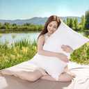 Shilucheng Goose Down Pillows Queen Size, 900+ Fill Power 100% Cotton Shell 600 Thread Count Down Pillow,at Least 80% Down Filled Comfortable Hotel Pillows Relieve Neck Pressure