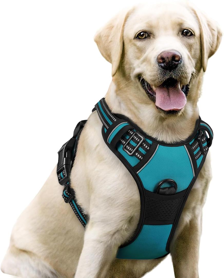 rabbitgoo Dog Harness No Pull with 2 Leash Clips, Adjustable Soft Padded, Reflective Oxford No Choke Pet Vest with Easy Control Handle for Dogs, Teal, Large