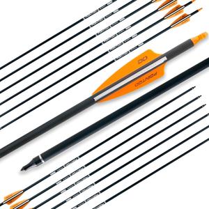 28"/30"/32inch Carbon Arrow Practice Hunting Arrows with Removable Tips for Compound & Recurve Bow(Pack of 12)