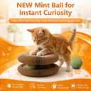 New Mint Ball Cat Scratching Board Toy, Upgrade Magnetic Interactive Kitty Toy, Shape Shifting Cardboard Cats Toys for Entertaining, Magic Organ Cat Scratcher Pads for Indoor Cats (2 pcs)