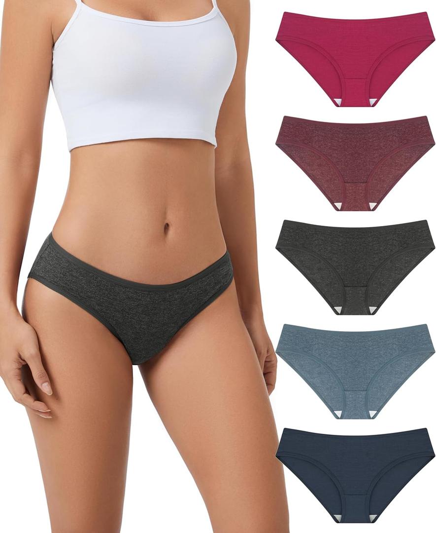 5 Packs Merino Wool Underwear Women, Breathable Soft Wooly Womens Panties Briefs, Moisture Wicking Ladies Bikini (Small, Multicolor02)