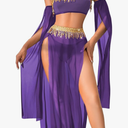 Exotic Wear Dancer Outfits,High Slit Skirt Sexy Lingerie For Women,Belly Dance Costume Cosplay Festival , Extra Large, Purple 