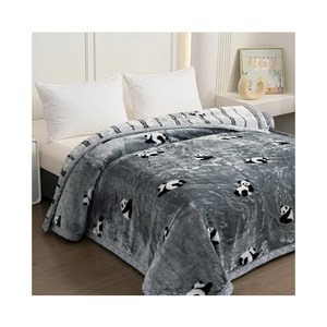LGYKUMEG Queen Size Korean Mink Blanket Winter Fleece Plush Blanket 79"X 91",2 Ply Reversible Silky Soft and Warm Raschel Bed Blankets (200x230cm4kg, B)