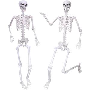 2PCS Skeletons Halloween Decorations,5.9Ft Life Size Skeletons with Movable Joints,Full Body Plastic Human Adult Skeletons for Halloween Indoor Outdoor Haunted House Decor