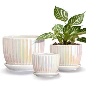 Ton Sin White Plant Pots,Pearl Gold Ceramic Flower Pots 4"+5"+6" Inch Indoor Succulent Pot with Drainage Hole - Decorative Orchid Pots and Herb Pots Set of 3