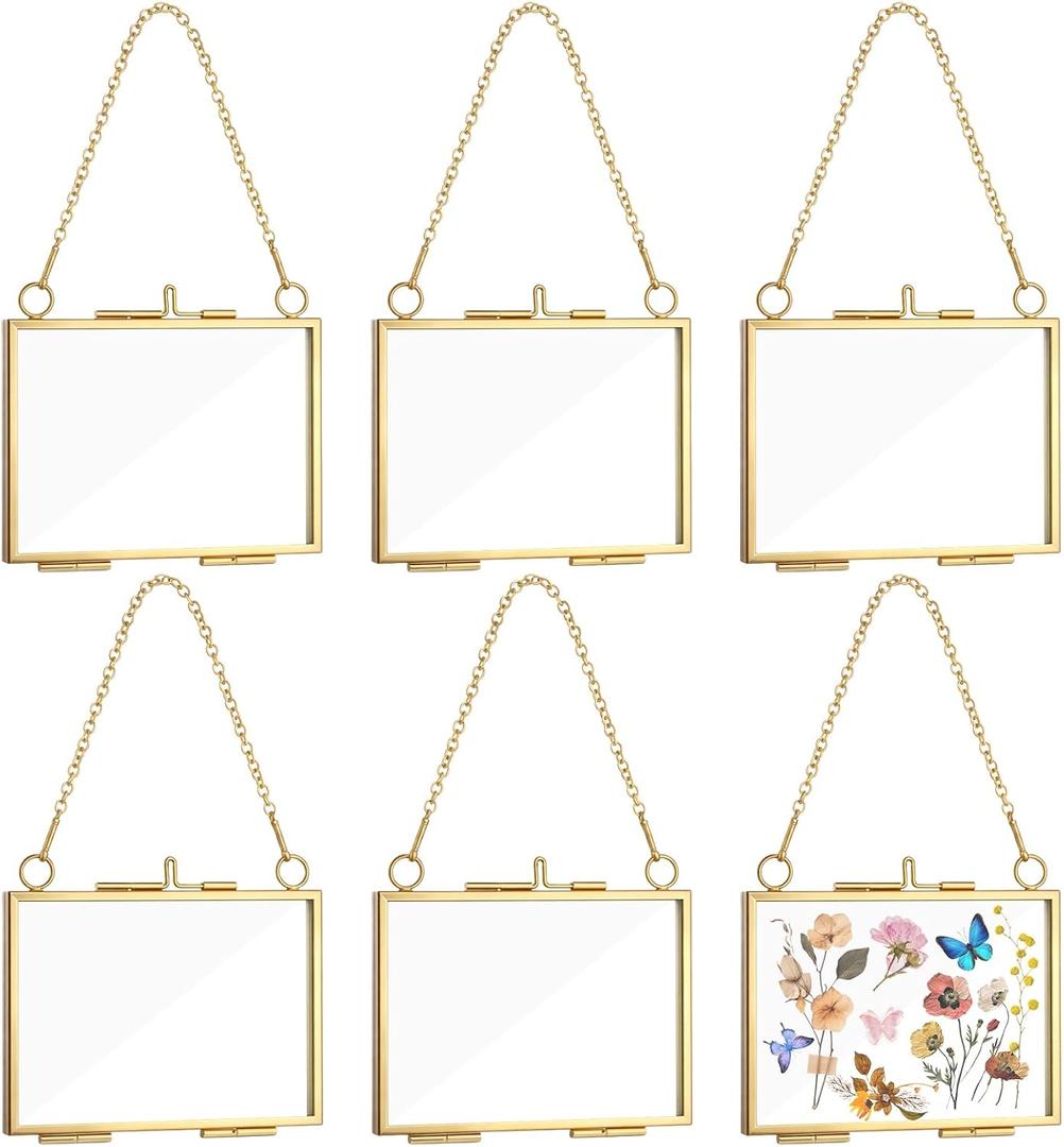 6 PCS Wall Hanging Mini Photo Frames 2.5x3.5 Inch Double Glass Frame for Pressed Flowers Wall Hanging Brass Frame for Pressed Flowers DIY Vintage Artwork Display Frames Plant Specimen Artwork (Gold)