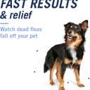 PetArmor CAPACTION (nitenpyram) Oral Flea Treatment for Dogs, Fast Acting Tablets Start Killing in 30 Minutes, Small Dog Flea Treatment 2-25 lbs, 6 Doses