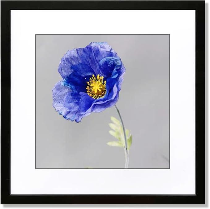 VNVNK 24x24 Frame Black, Perfect for 24x24 Inch Picture without Mat or 20x20 Inch Picture with Mat, Home Wall Decor Picture Frame-1 PCS