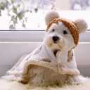 Size Small to Large, Dog Winter Coat with Hat, Kitten Thicken Cloak Blanket, Pets Nightgown for Small Medium Dogs Brown Medium (M: Recommand Weight 7-14 lbs (3.5-6.5kg))