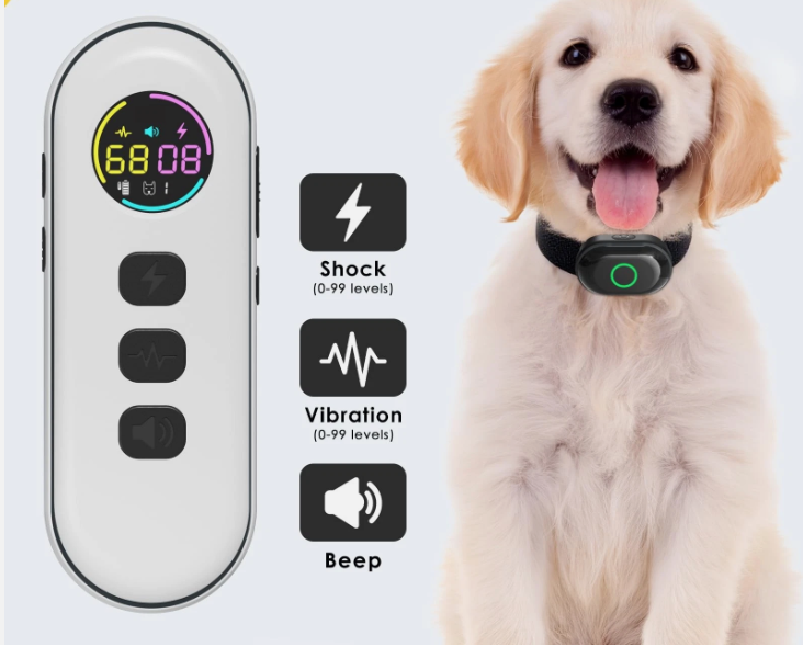 Lychee Training Collar 