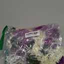 THE ART BOX 5 feet Artificial Hanging Flowers Vine Purple Silk Gajra Garland for Wedding, Diwali Decoration Floral Arch Party Garden Home Decor (2 Pc) (Off White & Purple)