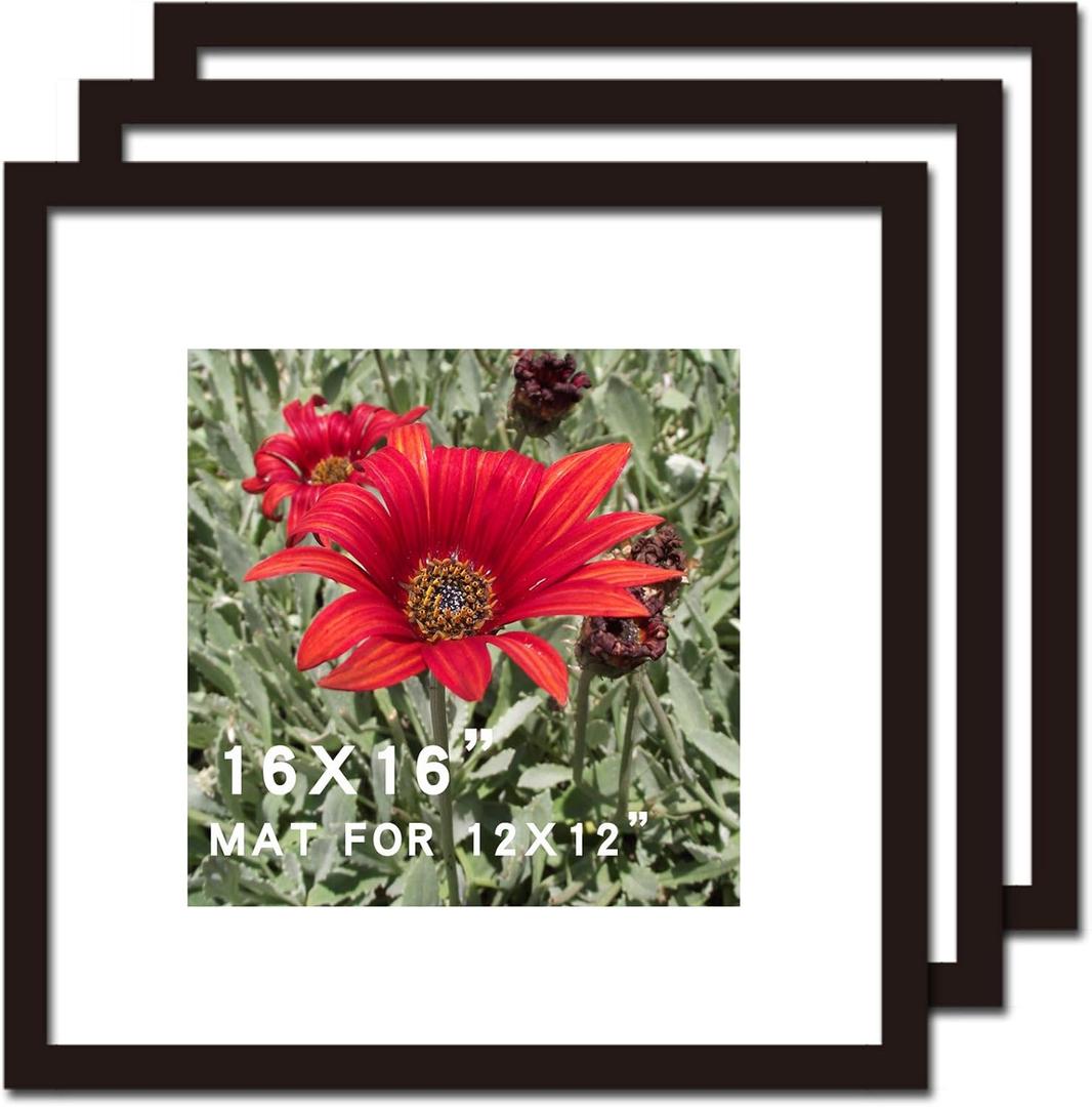 16x16 Picture Frame Black 3 Pack Solid Wood for Mat 12x12 Wall Mounting Square Poster Photo Frames