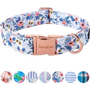 Unique Style Paws Metal Buckle Rose Collar - Durable & Cute for Small to Large Dogs