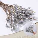 HyeFlora Natural Dried Eucalyptus Branches with Silver Seed, 12-16 Long Stems Pods Dried Flowers for Vase, Boho Home Decor, Floral Arrangements, DIY Crafts