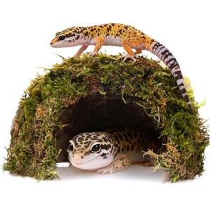 Reptile Hides and Caves  Leopard Gecko Tank Accessories, Natural Dome Reptile Cave & Shelter, Gecko Tank Accessories & Hermit Crab Shelter, Hamster Cage Accessories