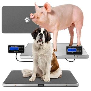 Adamson Livestock Scale 1100 lb / 500 kg – Heavy Duty Digital Dog Scales for Large Breed, for Sheep, Pigs, Goats – Tare, Hold & PCS – Battery or AC Powered (Batteries & Power Adapter Included)
