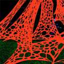 700 Sqft Giant Durable Spider Web Halloween Decorative Outdoor, Beef Web for Glow in The Dark Spider Web, Orange Giant Spider Outdoor Decor Set,with 3 Blacklight (24FT x 4FT)