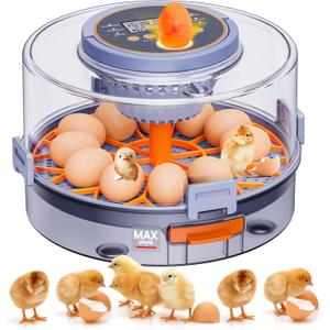 Automatic Egg Incubators for Hatching Eggs, 12 Egg Incubator with Automatic Egg Turning and Humidity Control, Egg Candler, 360 Viewing, Chicken Incubators for Hatching Chick, Duck, Quail, Goose Eggs