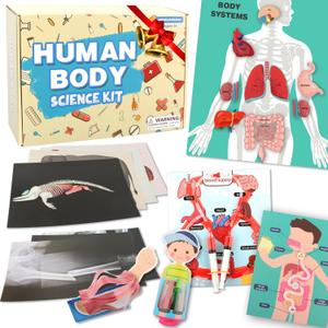 Human Body Activities & Experiments Science Kit for Kids,Human Anatomy Body Parts with Broken Bones X Ray,Lung Breathing Model, Vessels, Digestive System,Muscles Model,Skeleton,Human Organ