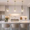 Glass Pendant Lights Kitchen Island Modern Gold Clear Organic Globe Hanging Ceiling Lights Industrial Chandelier Over Table Dining Room Bar Bedroom Hallways Countertop Porch Lamp 8 Inch High